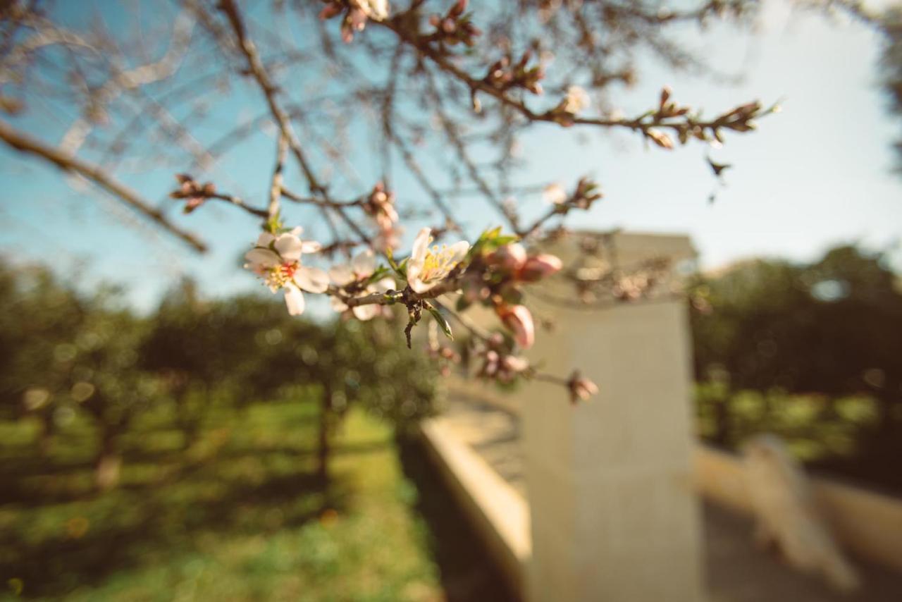 Masseria Gagliardi Tarente Buitenkant foto